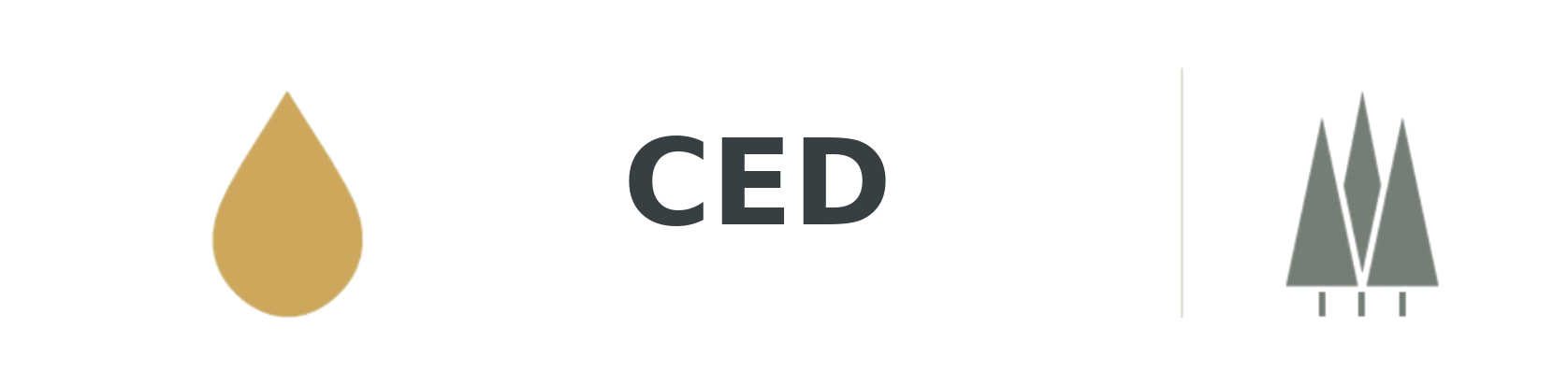 CED